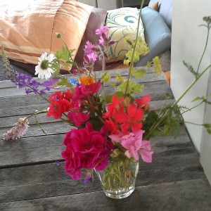 Wildblumen