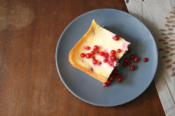 Johannisbeer-Aprikosen-Quarkkuchen – Bezauberndes Leben