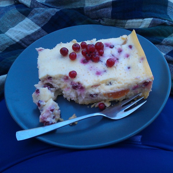 johannisbeer-aprikosen-quarkkuchen