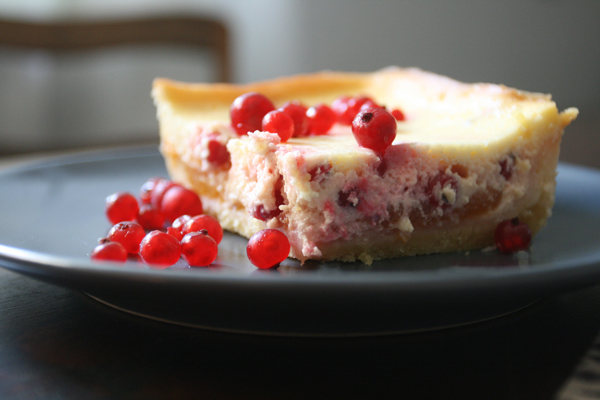 Johannisbeer-Aprikosen-Quarkkuchen – Bezauberndes Leben